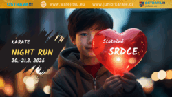 karate Night Run